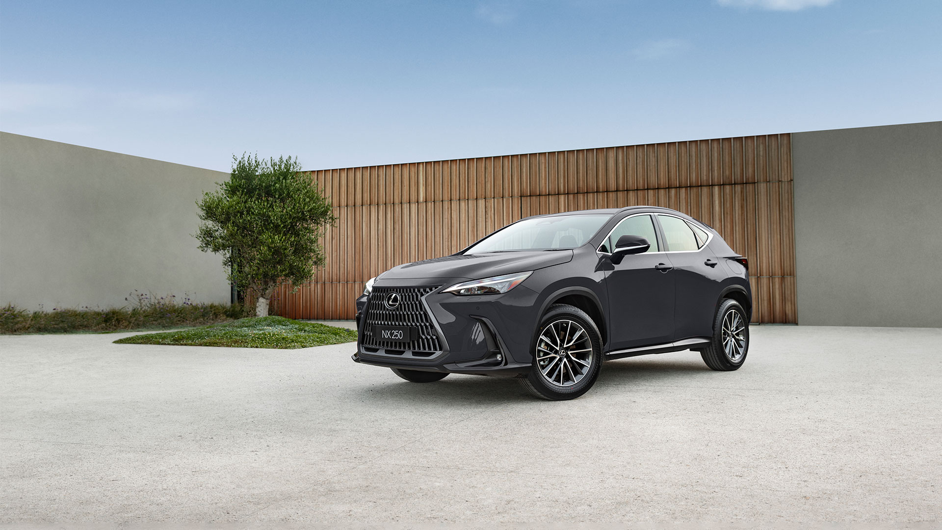 Lexus NX 250
