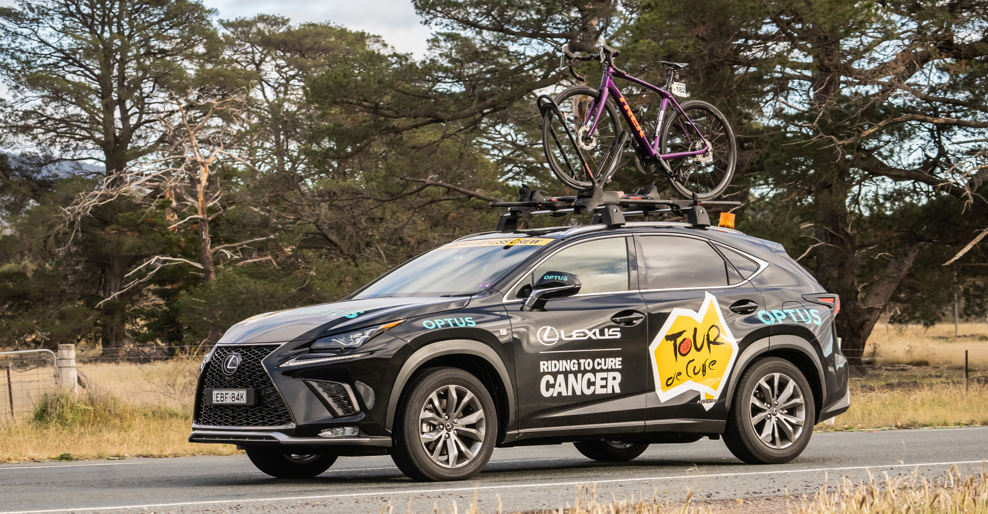 Lexus, Partnerships, Tour de Cure