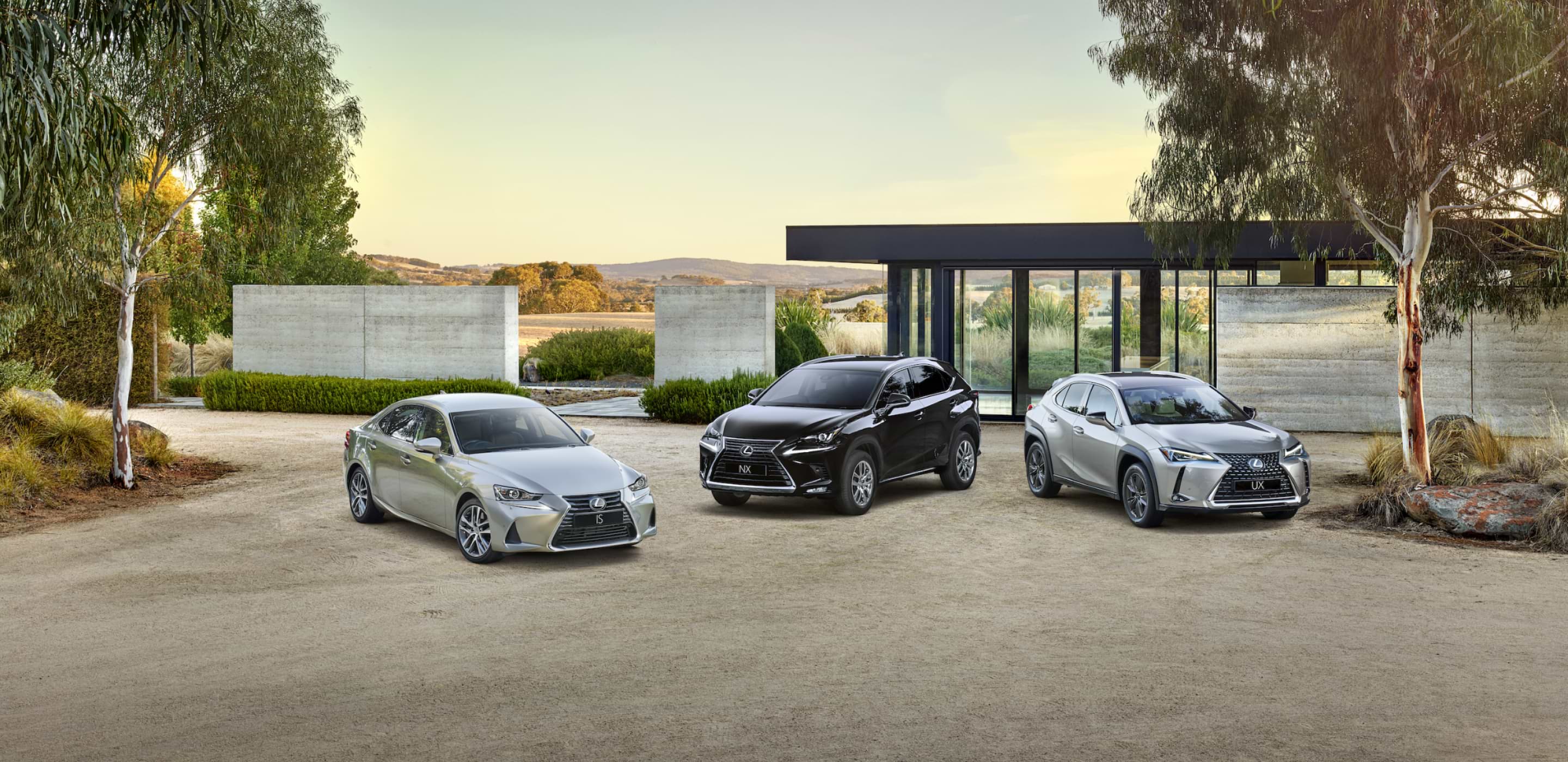 Lexus Experience Amazing
