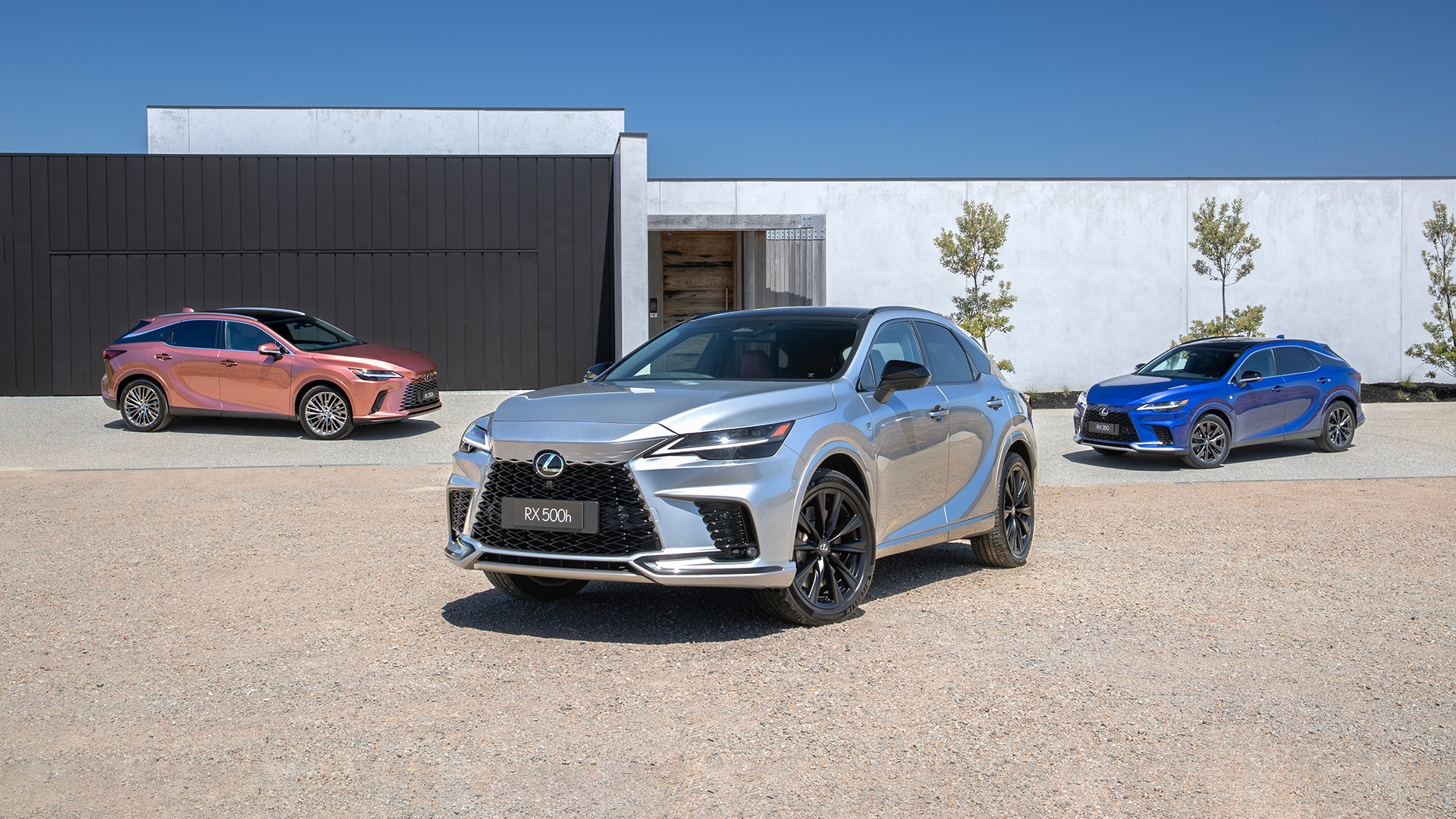 2023 Lexus RX (L-R) RX 350h Sports Luxury, RX 500h F Sport Performance and RX 350 F Sport.