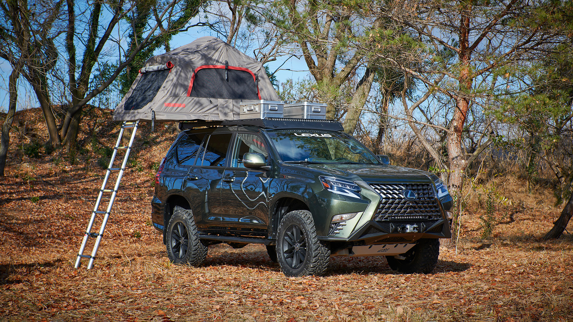 A dark green Lexus GX Outdoor Concept is shwon with a roof tent installed and open, parked in a foresty area.