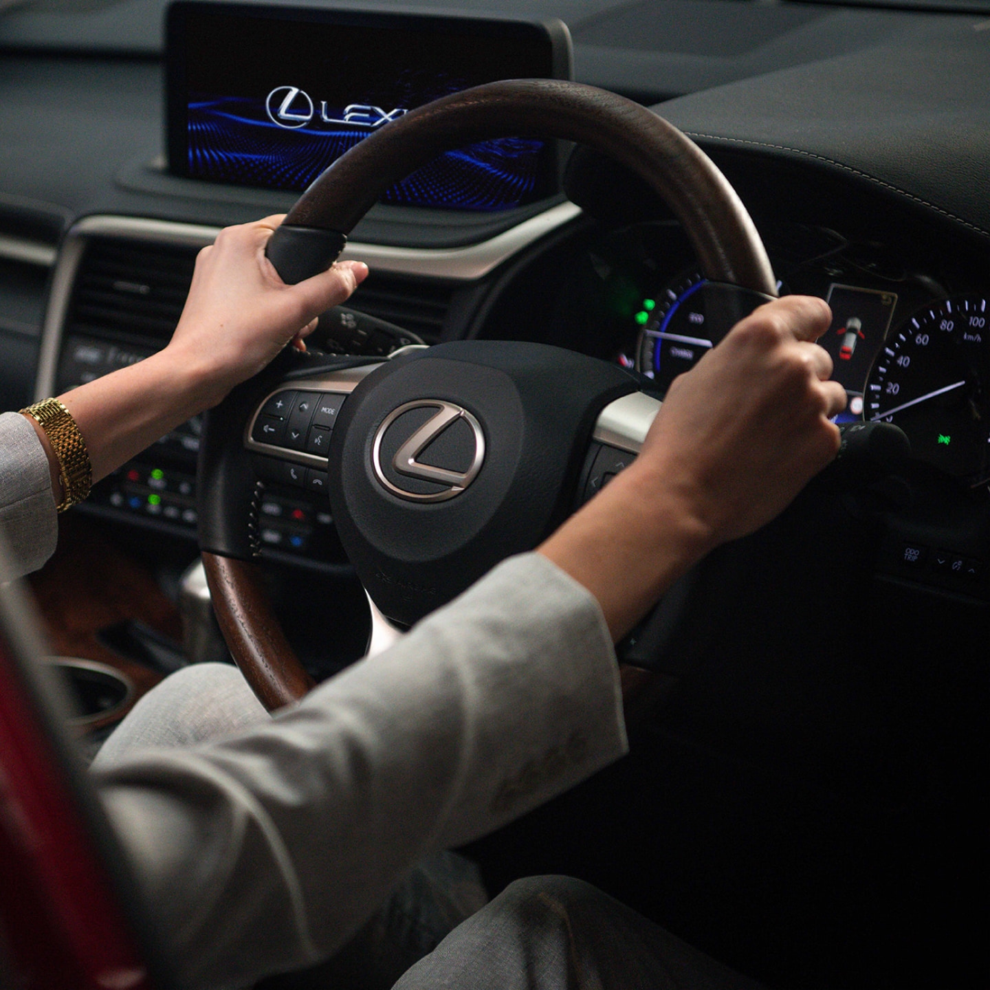 Lexus DriveCare